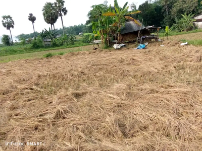 di Jual Tanah di Bektiharjo