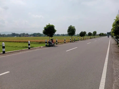 Dijual sawah jalan Gedongan