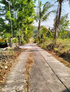 DIJUAL TANAH PEKARANGAN DEKAT KAMPUS 2 UIN DAN UMY VIEW SAWAH JK12042