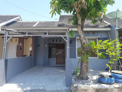 Dikontrakkan Rumah Siap Huni Perum Greenwood Semarang Barat