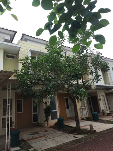 Disewakan cepat dan murah rumah Virginia village. Gading Serpong.