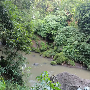 Disewakan Tanah 15 Are River View di North Munggu Tegal Kepuh Bali