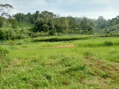 Jual lahan Kebun Pengairan Bagus