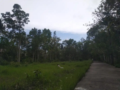 Jual Tanah Pengasih Kulon Progo Area Wates Kota, Jogja SHM