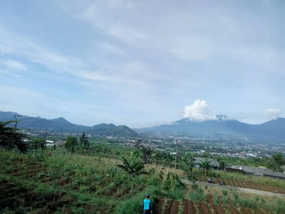 Jual Tanah SHM 8.000 m2 View Gunung di Megamendung Puncak Bogor