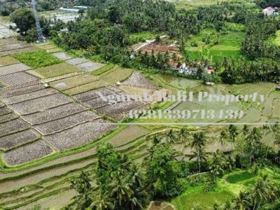 Land For Rent Murah Luas 1500 Are View Sawah Terasering dan Sungai
