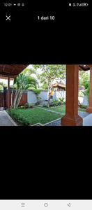 Rumah cantik asri area Sanur disewakan minim 5 tahun