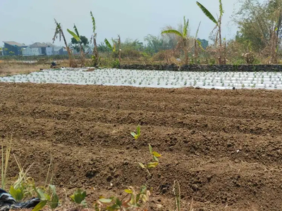 Tanah 500 Jutaan Kota Malang, Lokasi Strategis Siaap Bangun