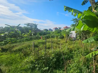 Tanah Batubolong Canggu Badung Bali