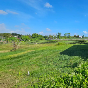 tanah canggu berawa 660