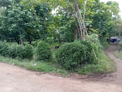 Tanah di setu samping tol baru kawasana industri MM2100