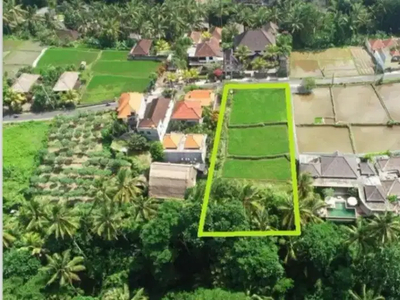 Tanah Istimewa Tirta Tawar Ubud Gianyar Bali