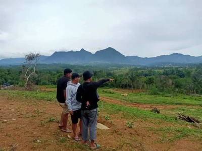 Tanah Kavling Desa Wisata Puncak 2 Bogor