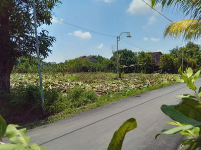 tanah kavling pinggir jalan raya sembungharjo pedurungan Semarang