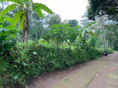 Tanah Kering/Pekarangan Murah & Bagus Lebih Tinggi Dari Jalan Free BBN