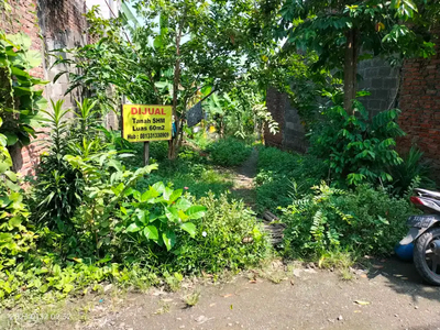 Tanah murah daerah Sumput Driyorejo