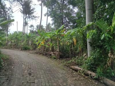 Tanah Murah di Kudan Tlogomulyo Kota Semarang