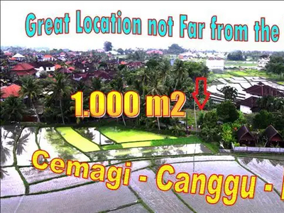 Tanah Murah Jalan Paving Canggu Cemagi