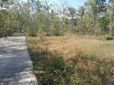 Tanah Murah Wates, Dekat Exit Tol Jogja - Cilacap