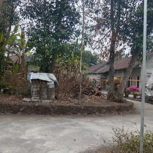 Tanah Pekarangan Murah di Kalasan Sleman Yogyakarta TP 240