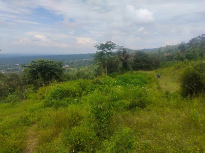 Tanah pertanian/perkebunan subur kawasan boyolali