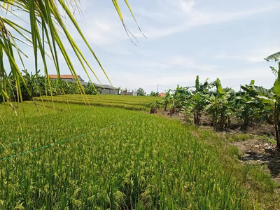 Tanah plot kecil babakan canggu