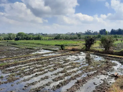Tanah Sawah di Demung Dekat Rumah Sakit Nyidah Tabanan Bali