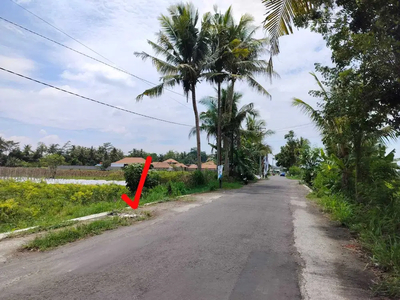 Tanah Sawah Pinggir Jalan Kebon Agung Seyegan Sleman