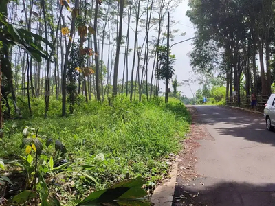 Tanah SHM 2200 m2 Pojok di Jl raya Kyai Padak Masjid Kapal Kel Wonoplu