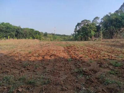 Tanah Siap Bangun 3 hektar Belakang Terminal Gunungpati Kota Semarang