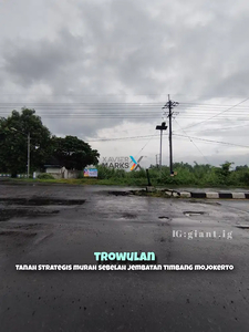 Tanah Strategis Harga Murah di nol jalan Trowulan Mojokerto Jawa Timur