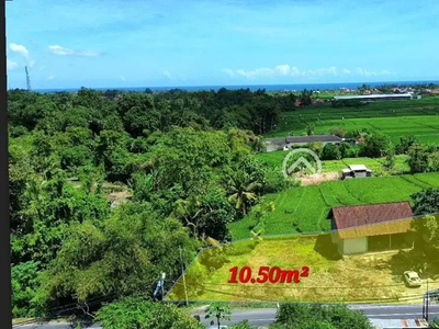 Tanah view sawah dan loss sungai di jalan utama pantai kedungu