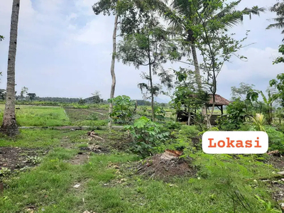 Tanah View Sawah Dekat Stadion Cangkring Kulonprogo TP 252