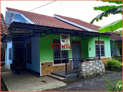 Rumah Murah Dijual di Jogja; Rumah Sedayu Bantul
