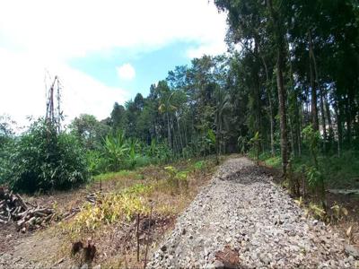 Tanah Kavling zona kuning pemukiman dijual dekat Polsek Mijen Semarang