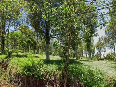 Tanah untuk perumahan di Ciromed Cinanjung Tanjungsari Sumedang