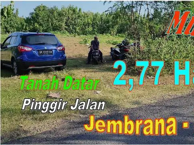 27.700 m2 Tanah Datar Pinggir Jalan di Jembrana