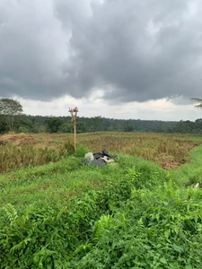 Di jual tanah sawah view bagus