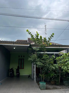 Rumah Asri Luas dan Nyaman Di Kampung Dekat Area Kota Klaten