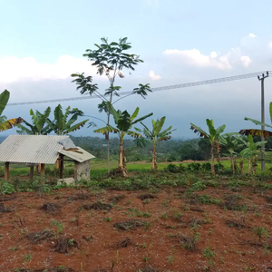 TANAH KEBUN | View Cantik