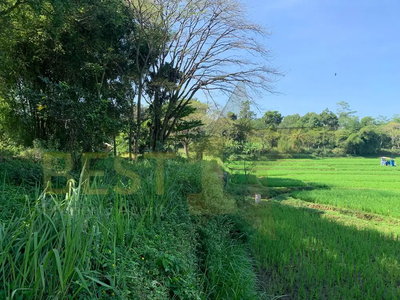 Tanah Luas 9,2 Ha, Murah Dan Strategis Di Tengah Kota Cianjur