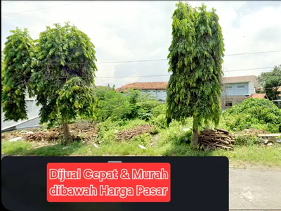 Tanah Murah Area Kampus di Jalan Perjuangan Cirebon Jawa Barat