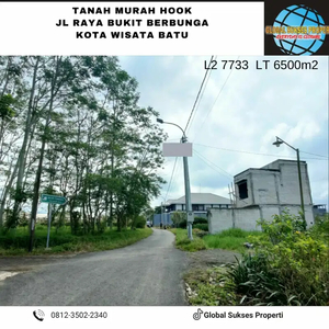 TANAH SUBUR HARGA ISTIMEWA DI RAYA BUKIT BERBUNGA KOTA BATU.