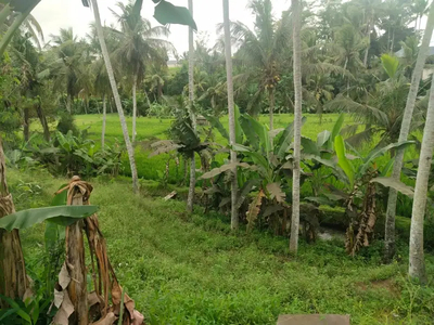 Tanah View Sawah Abadi di Lodtunduh Ubud