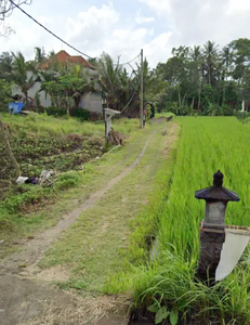 Tanah Zona Kuning di Jimbaran Bali dekat Universitas Udayana