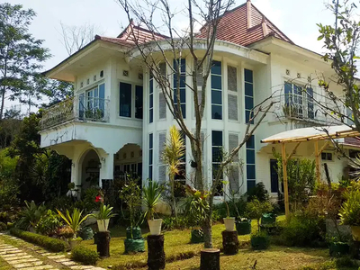 Villa Bagus Luas 2 Hektar + Kebun Tanaman Hydroponic