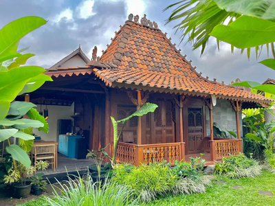 Villa One Bedroom di area Ubud Bali, Lingkungan Hotel dan Villa