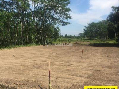 Kavling Hook Murah View Gunung Pancar, SHM