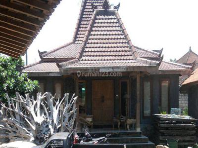 Rumah Di Mertha Sari Kerobokan Badung Bali
