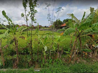 Tanah Disewakan Cemagi Bali